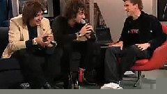 The Strokes - The Strokes Love Tim Rogers' Guts