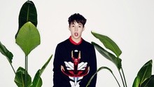 刘宪华 - Henry - Fantastic 预告