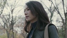 杨宗纬 - 杨宗纬 - 空白格