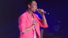 魏晨 - 魏晨广州演唱会熊猫气球情书