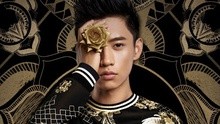 魏晨 - 花开那年 预告 电影《匆匆那年》推广曲