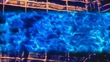Swing Out Sister - Blue Mood