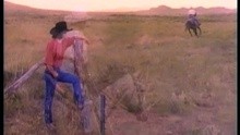 Mark Chesnutt - Almost Goodbye