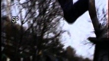  - Wolf Hand