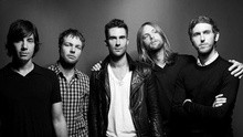 Maroon 5 - Animals 宣传版