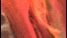  - Incinerate