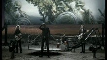 Bones