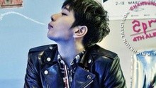 2PM - 疯了吗？黄灿盛版