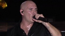 Pitbull - Timber Fusion音乐节现场版