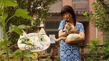 龙宽工作室第二次开放日预告