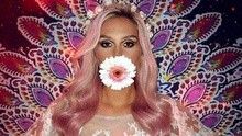 Ke$ha - Kesha - Lover 试听版