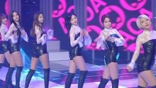 AOA - AOA - 猫步轻悄