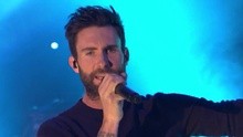 Maroon 5 - Animals