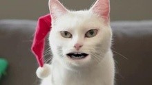 “叮当猫”卖萌唱圣诞歌