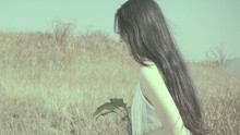 尚芸菲 - 尚芸菲 - 你要的是什么