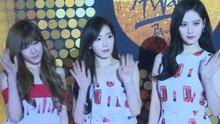 群星 - 第29届金唱片 红毯群星璀璨