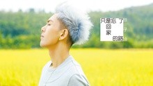 孙子涵 - 孙子涵 - 只是忘了回家的路