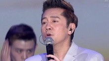蔡国庆 - 蔡国庆 - 绒花+传奇+再回首