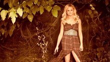 Miranda Lambert - Little Red Wagon 图片版