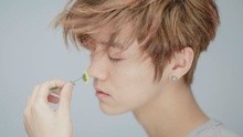 鹿晗 - 鹿晗 - 甜蜜蜜 预告