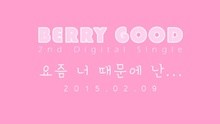 Berry Good - Because Of You 预告
