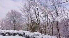 班得瑞 - The First Snowflakes 图片版