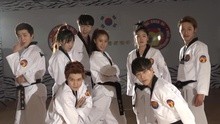 JJCC - Fire 跆拳道版