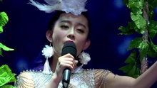 群星 - 2015中国城市春晚完整版
