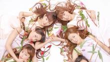Chu-Z - Chu-Z - 花のアーチ