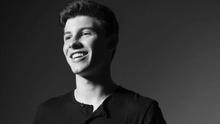Shawn Mendes - Life Of The Party