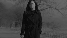 鱼缸里的鱼