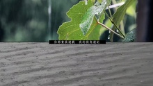 郑秀文 - 高山低谷 歌词版