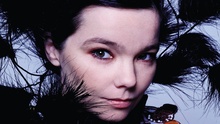 Bjork - Family