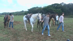 Super Junior - Super Junior In Hawaii Mahalo DVD 05 Horseback Rinding