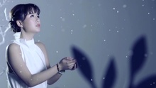 吴木蓝 - 小叶子