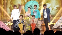 JJCC - JJCC - On the Flower Bed