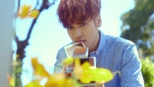 Niel - Spring Love