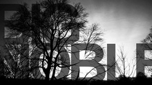 Big Noble - Pedal