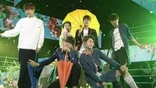JJCC - JJCC - On the Flower Bed