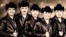 Lobo Gris - Latidos