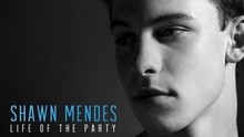 Shawn Mendes - Life Of The Party