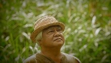 胡德夫 - 芬芳的山谷