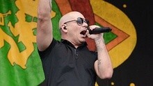 Pitbull - Pitbull Live At New Orleans Jazz & Heritage Festival 2015