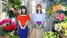 Chatmonchy - きみがその気なら