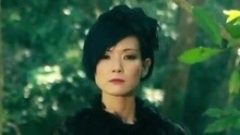 田园惊梦
