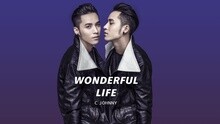 池约翰 - Wonderful Life