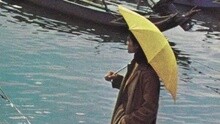 陈明韶 - 风告诉我 歌词版
