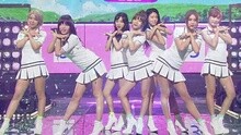 AOA - AOA - Heart Attack 现场版
