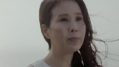 华语群星 - 野马