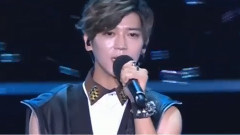 毕书尽 - 2015花莲夏恋嘉年华 金曲之夜 (Bii cut)